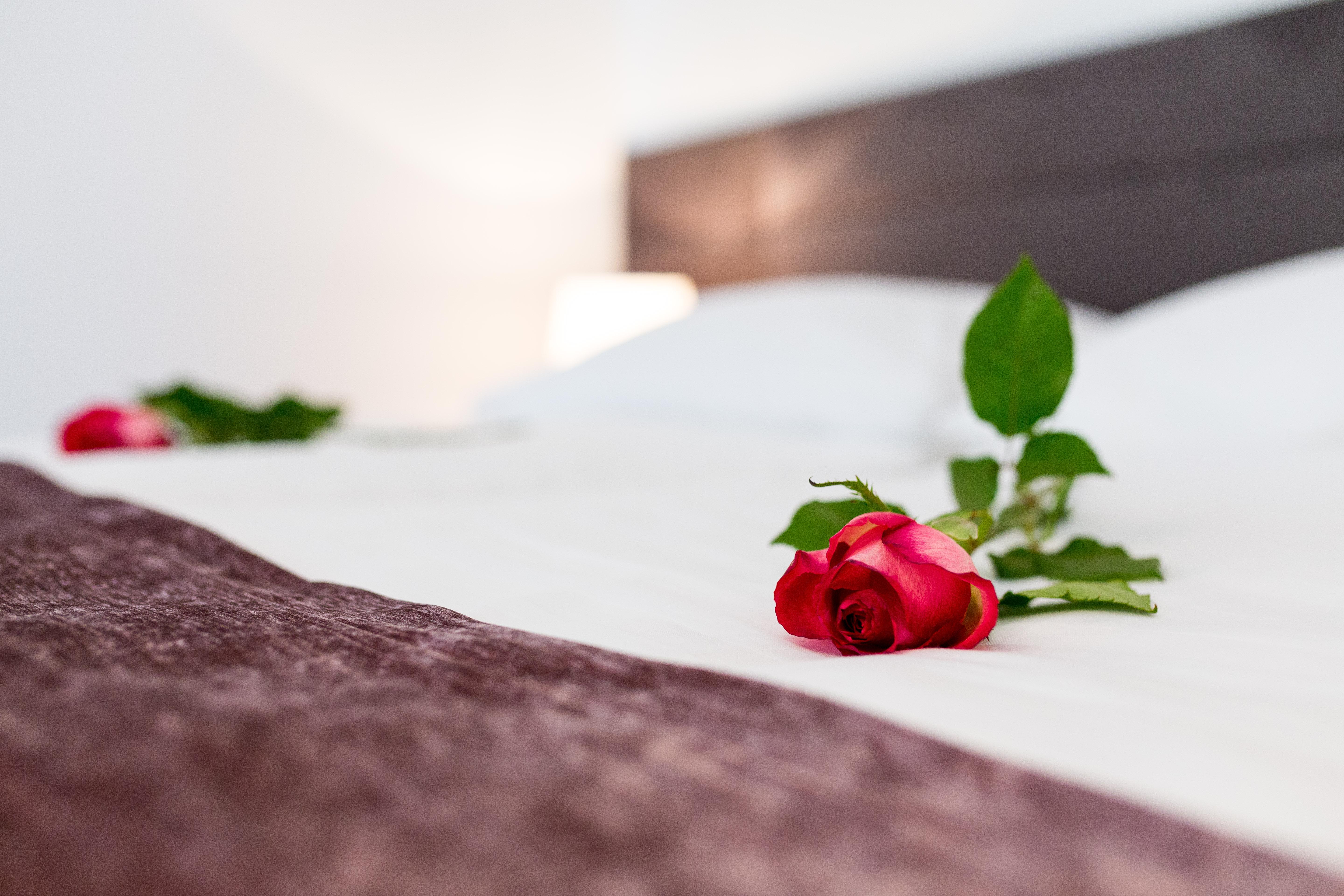 Starlight Luxury Rooms Сплит Екстериор снимка